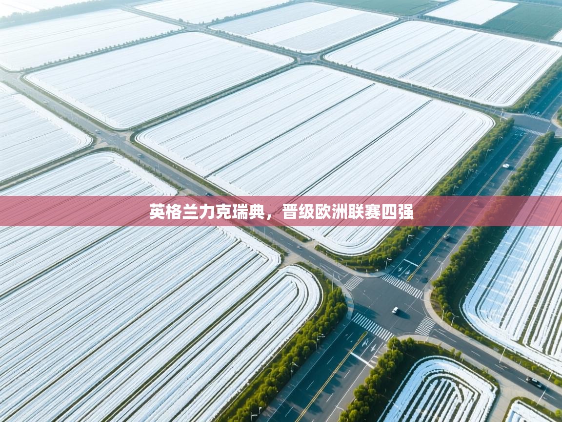 英格兰力克瑞典,晋级欧洲联赛四强 第2张